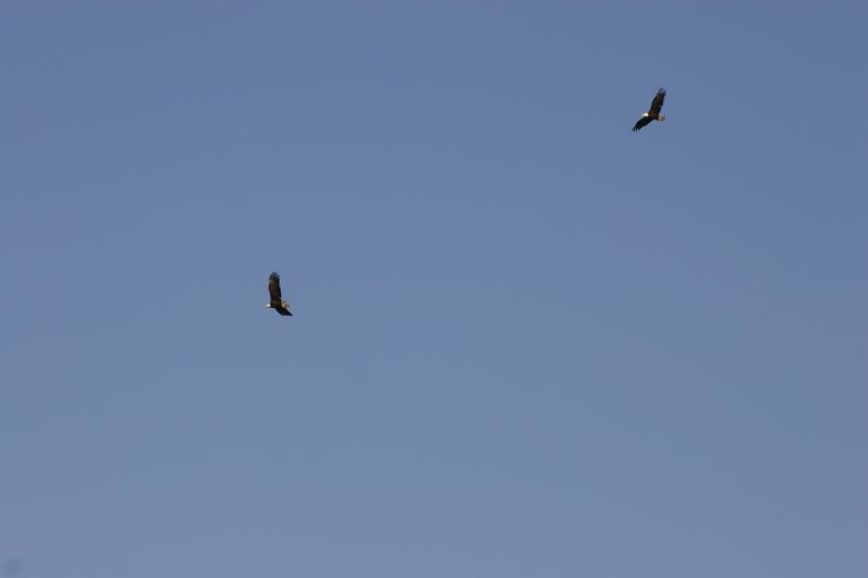 062404 Haines AK (10061)